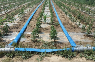 Delivery and discharge hose for agriculture.